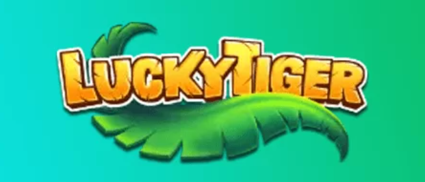 Rules for logging into Lucky Tiger online casino secure access without unnecessary hassle 1