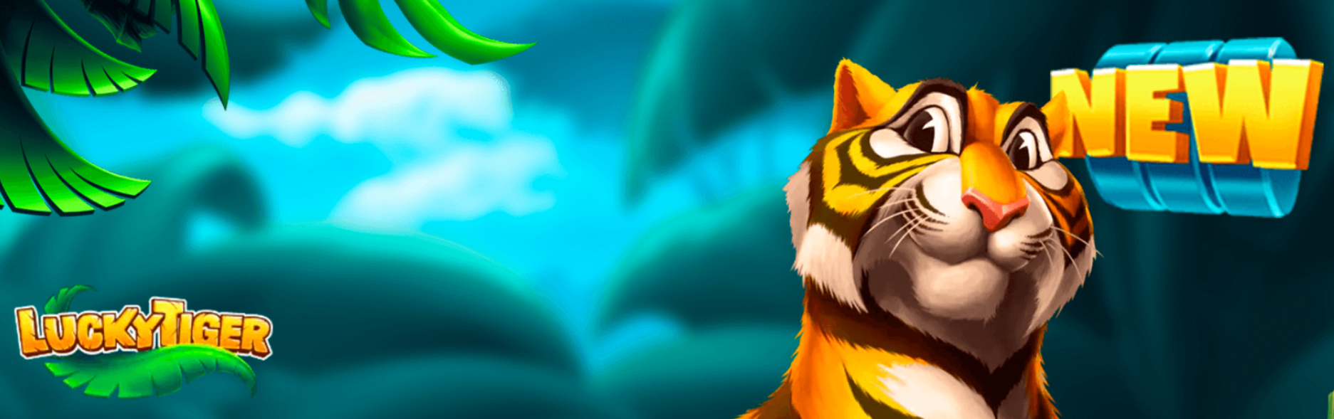 Rules for logging into Lucky Tiger online casino secure access without unnecessary hassle
